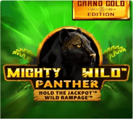 Mighty Wild Panther